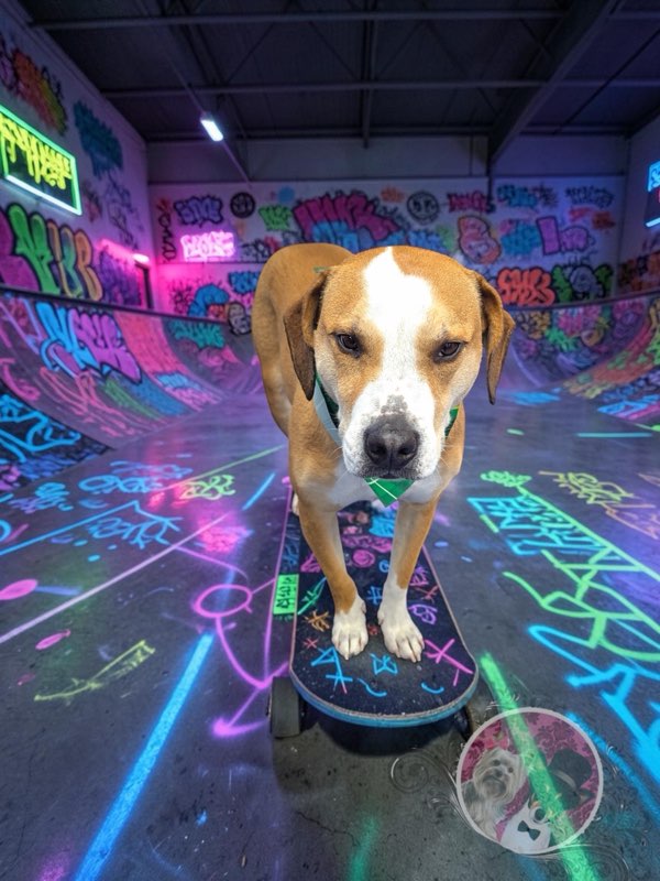 Southern Pines Salon Gallery image