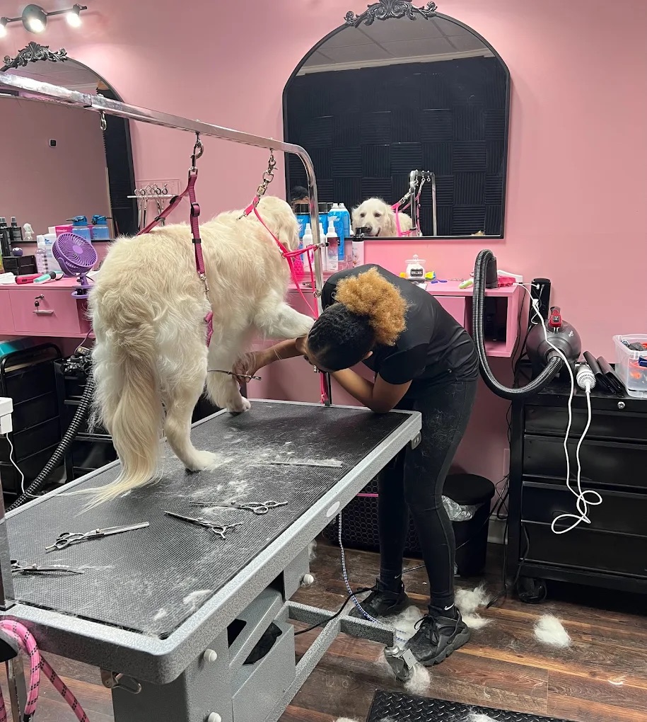 Full Service Grooming