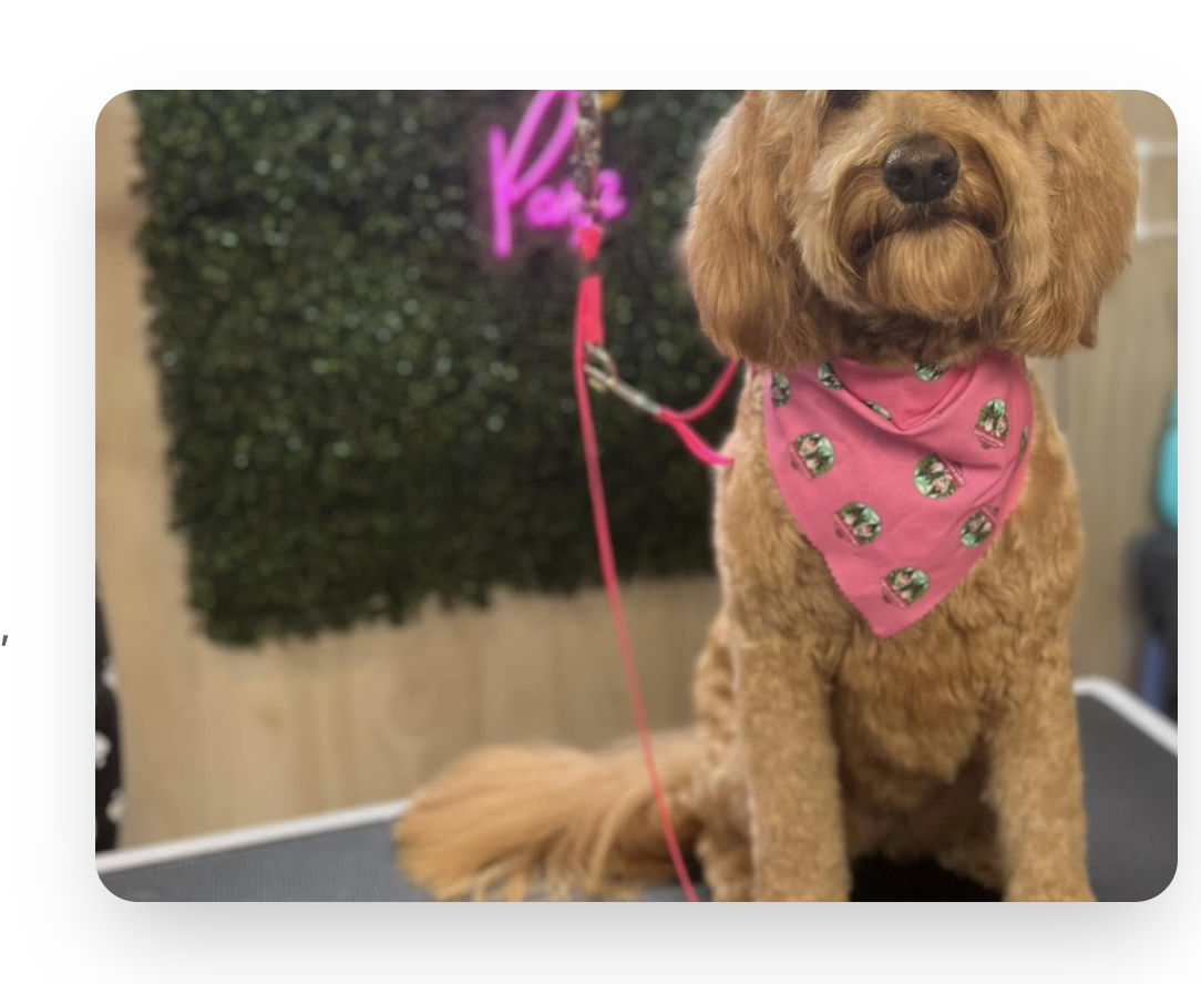 Dog Grooming Salon in Southern Pines